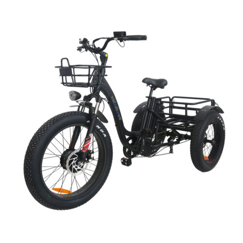 Off Road Fat Tire Electric Trike- VeloMove