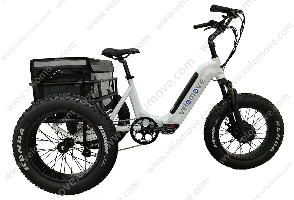 fat tire electric cargo bike