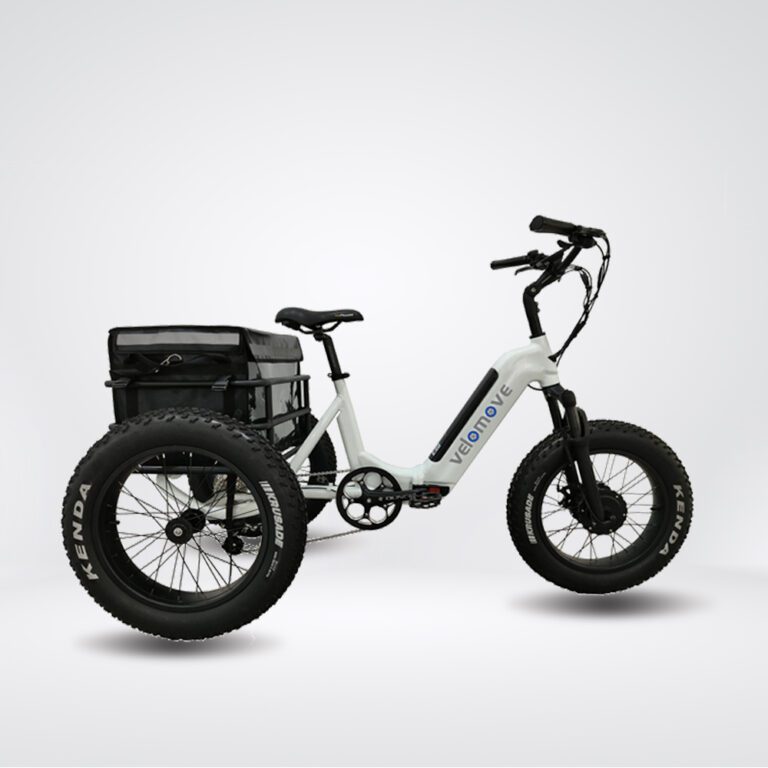 Vmst3 Folding Fat Tire Cargo Electric Tricycle Velomove