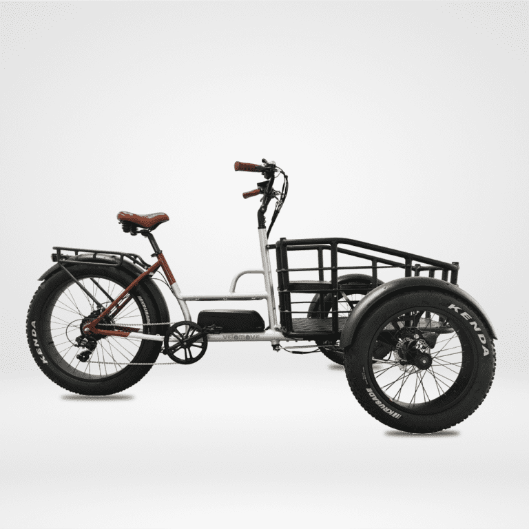 mid drive electric tricycle